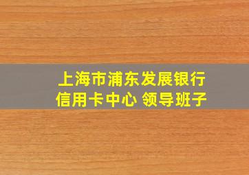 上海市浦东发展银行信用卡中心 领导班子